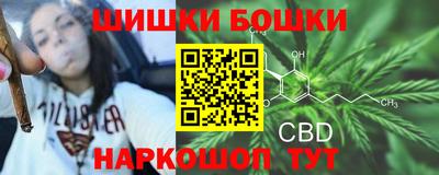 мдпв Ливны